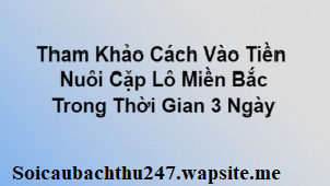 Cách vào tiền nuôi cặp lô khung 3 ngày
