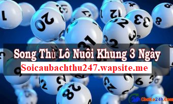 Song thủ lô nuôi khung 3 ngày Siêu Chuẩn - lô khung 3 ngày miễn phí
